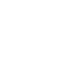 DeSialkot Sports logo